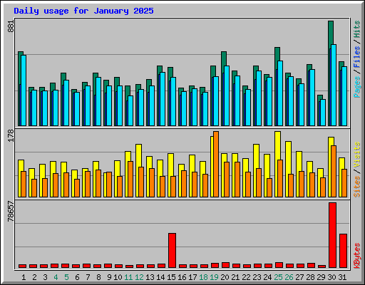 Daily usage for January 2025
