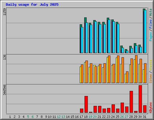 Daily usage for July 2025