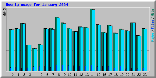 Hourly usage for January 2024