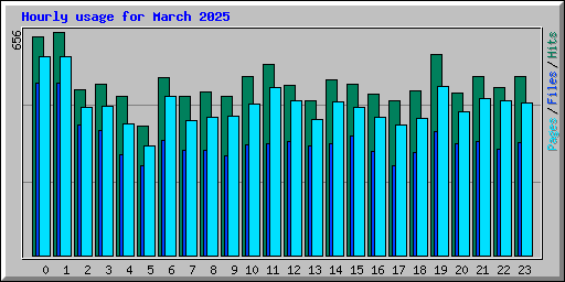 Hourly usage for March 2025