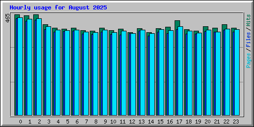 Hourly usage for August 2025